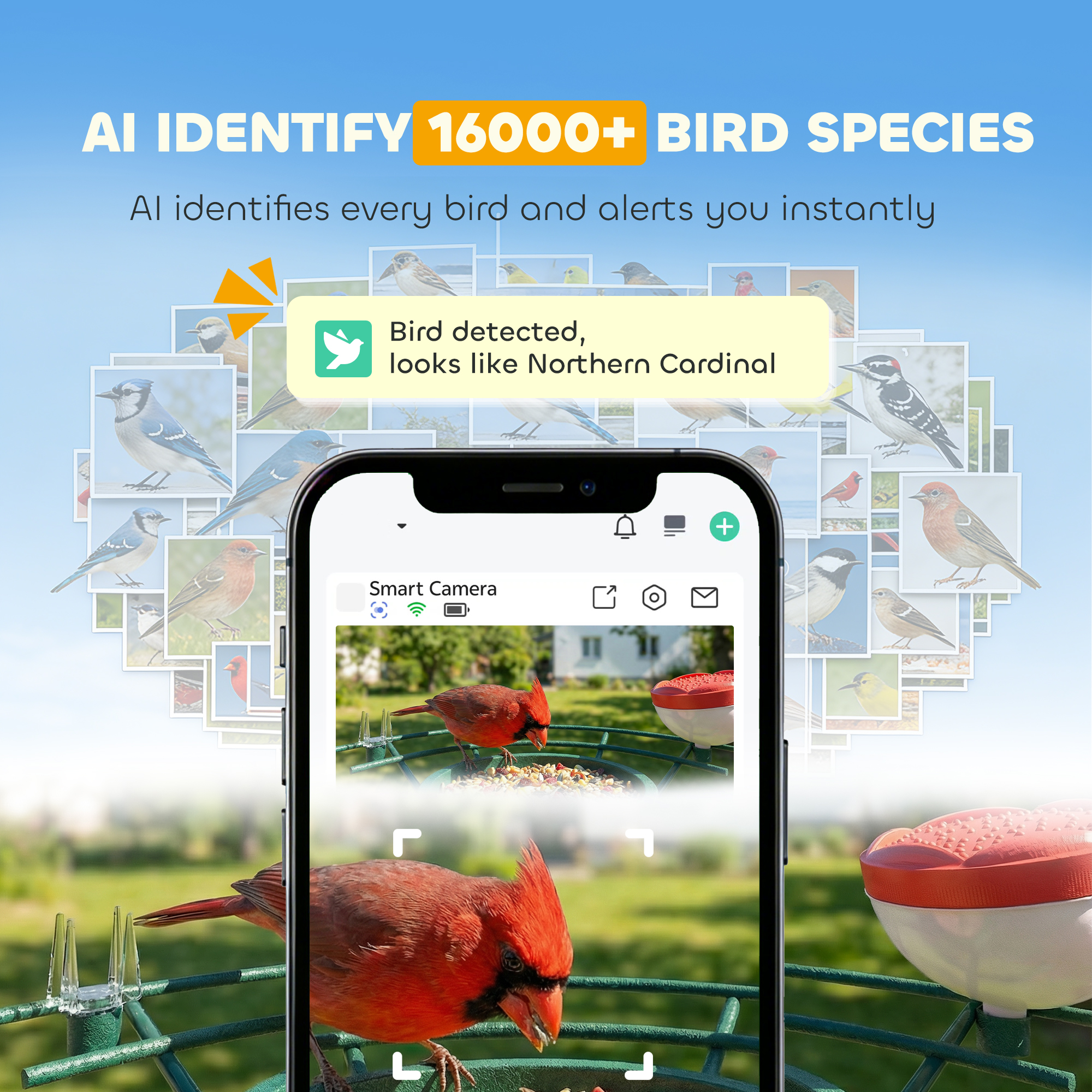 Smart Bird Feeder Camera Solar Powered with AI Identify 16000+ Birds, Auto Video Capture, Motion Detection - Image 4