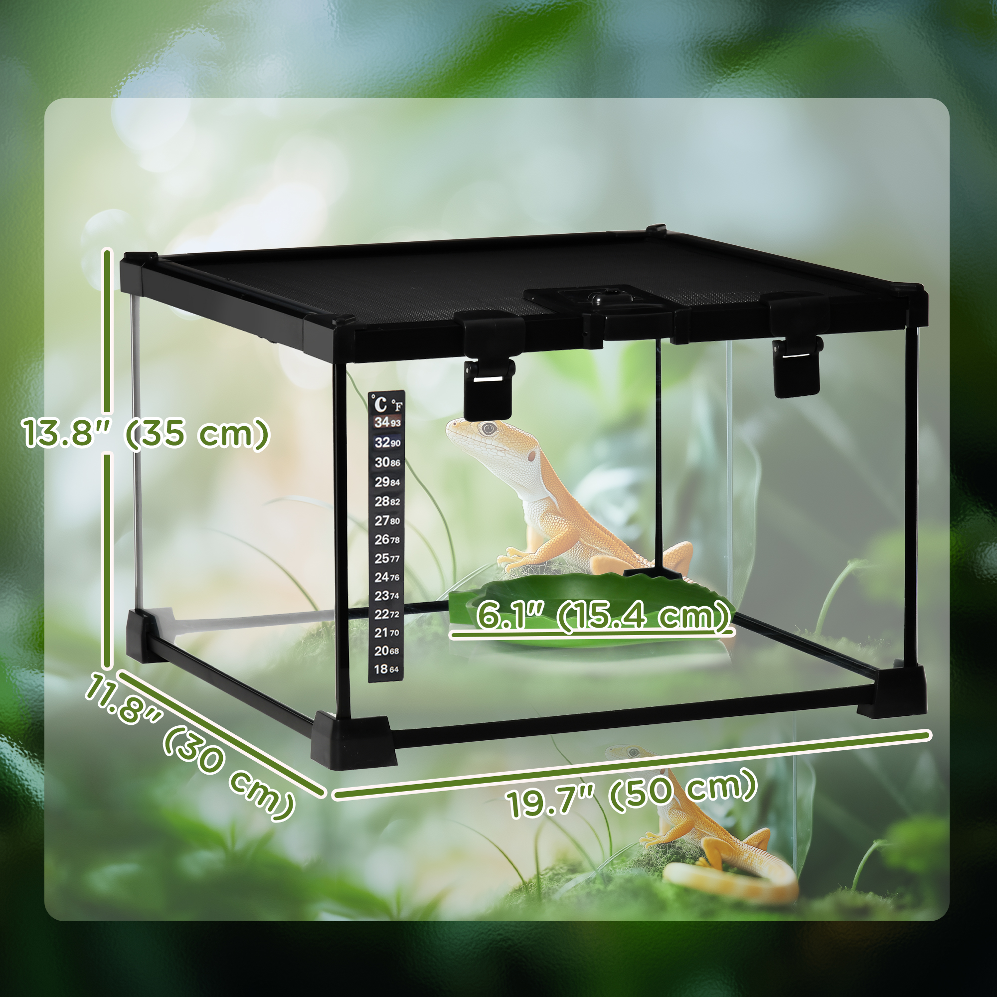 Glass Reptile Terrarium with Thermometer, Water Basin, Full View Visually for Lizards, Horned Frogs, Snakes, Spiders