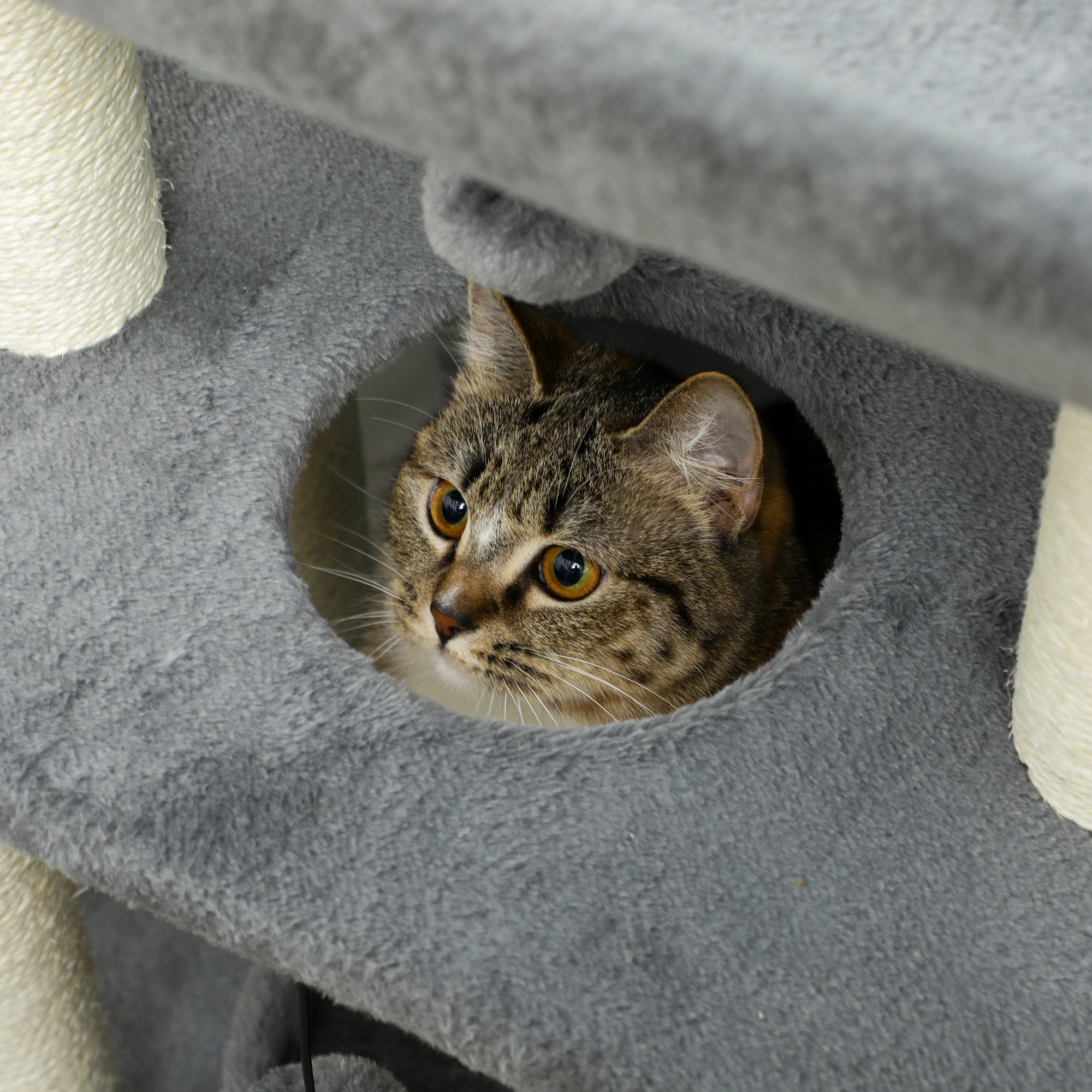 Small Cat Tree with Perch, Scratching Posts, Pad, Bed, Toy Balls, Light Grey