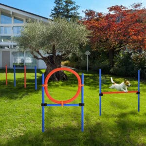 Dog Pet Agility Training Kit High Jump Weave Pole Ring Obedience Training Set Adjustable Equipment Portable