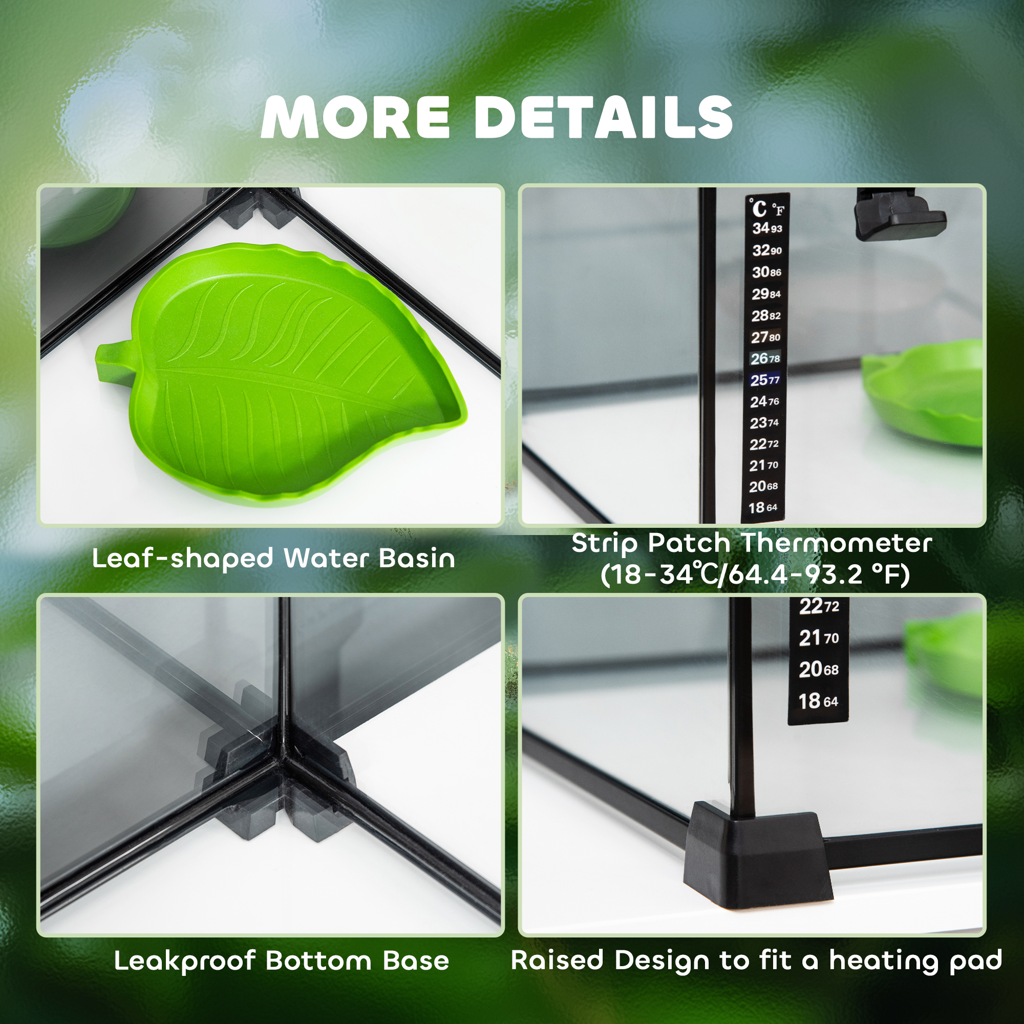 Glass Reptile Terrarium with Thermometer, Water Basin, Full View Visually for Lizards, Horned Frogs, Snakes, Spiders