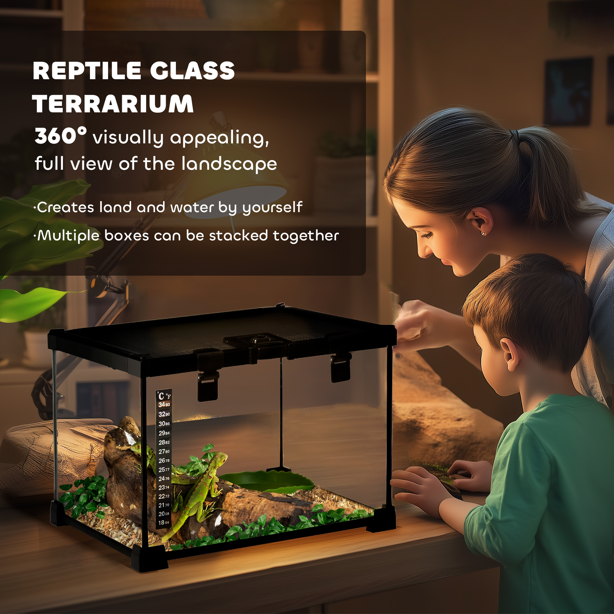 Glass Reptile Terrarium with Thermometer, Water Basin, Full View Visually for Lizards, Horned Frogs, Snakes, Spiders