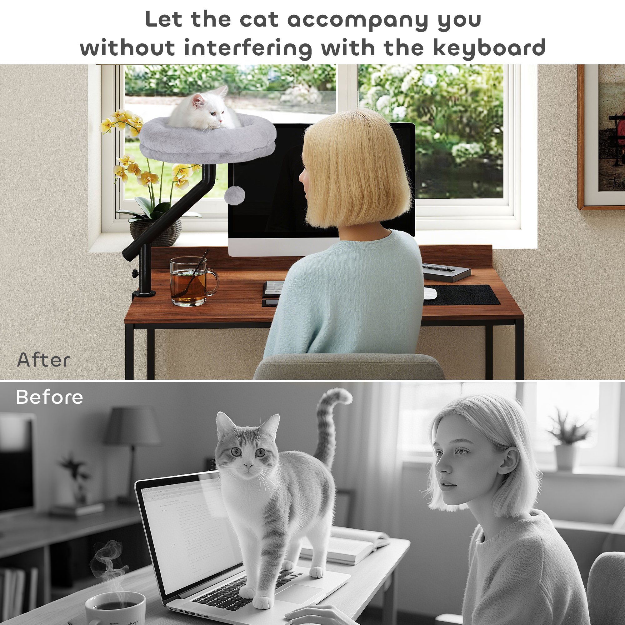 Cat Desk Bed 360° Rotatable Adjustable Height for Home Office Work Window