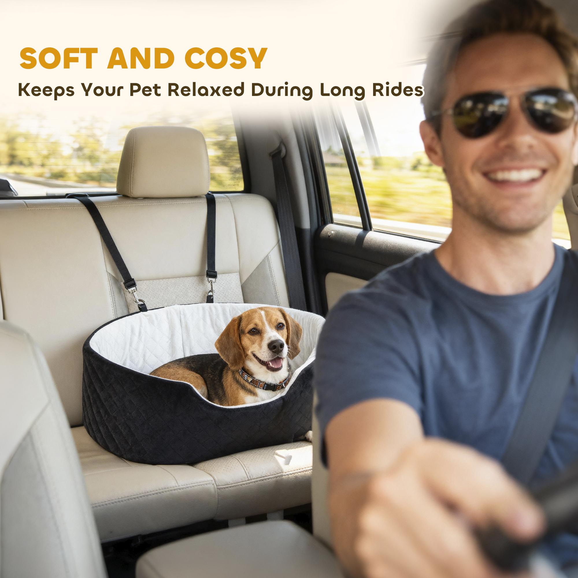 Dog Car Seat for Small Medium Pets, Detachable Washable Pet Bed with Cushion and Safety Belt for Dog Under 33lbs, Black