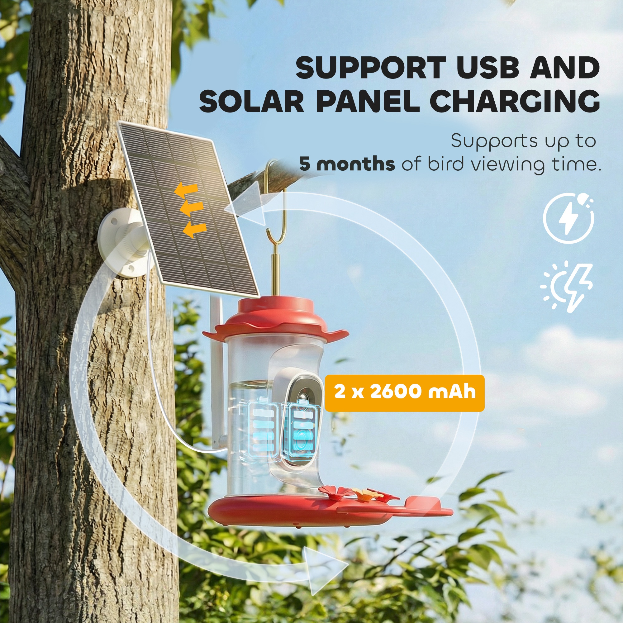 Smart Bird Feeder with Camera, AI Identify 16000 Birds, 2K HD Live Video, 3W Solar, Instant Arrival Alerts