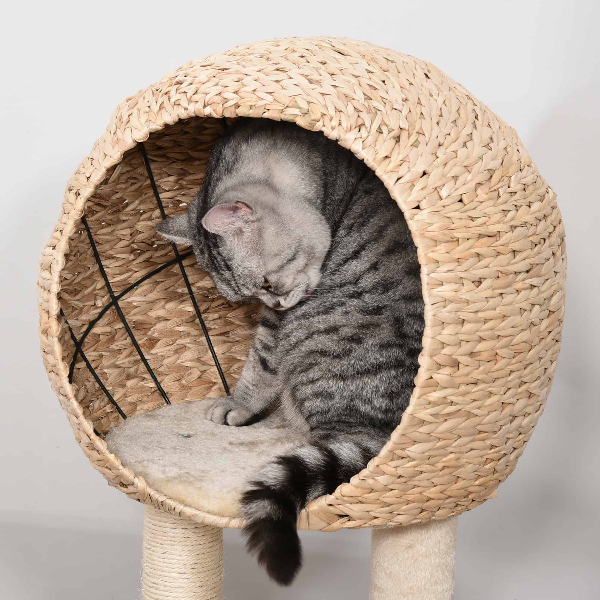39" H Cat Tree with Sisal Scratching Post, Condo, Plush Perch, Hanging Rope and Hanging Ball, Beige