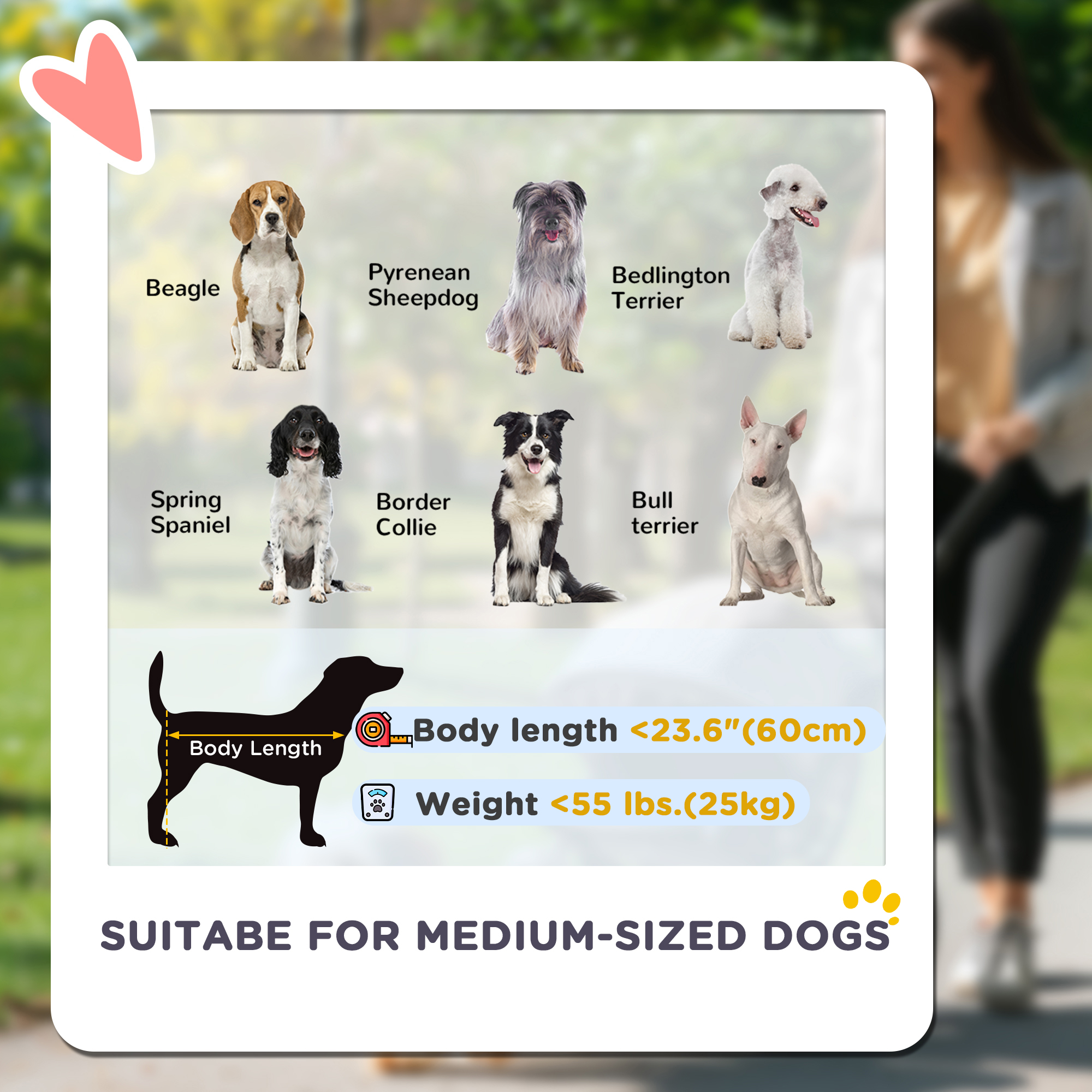 Foldable Pet Stroller for Medium Dogs with Four Big Wheels, Shock-Absorbing Frame, Safety Leashes, Brakes, Black