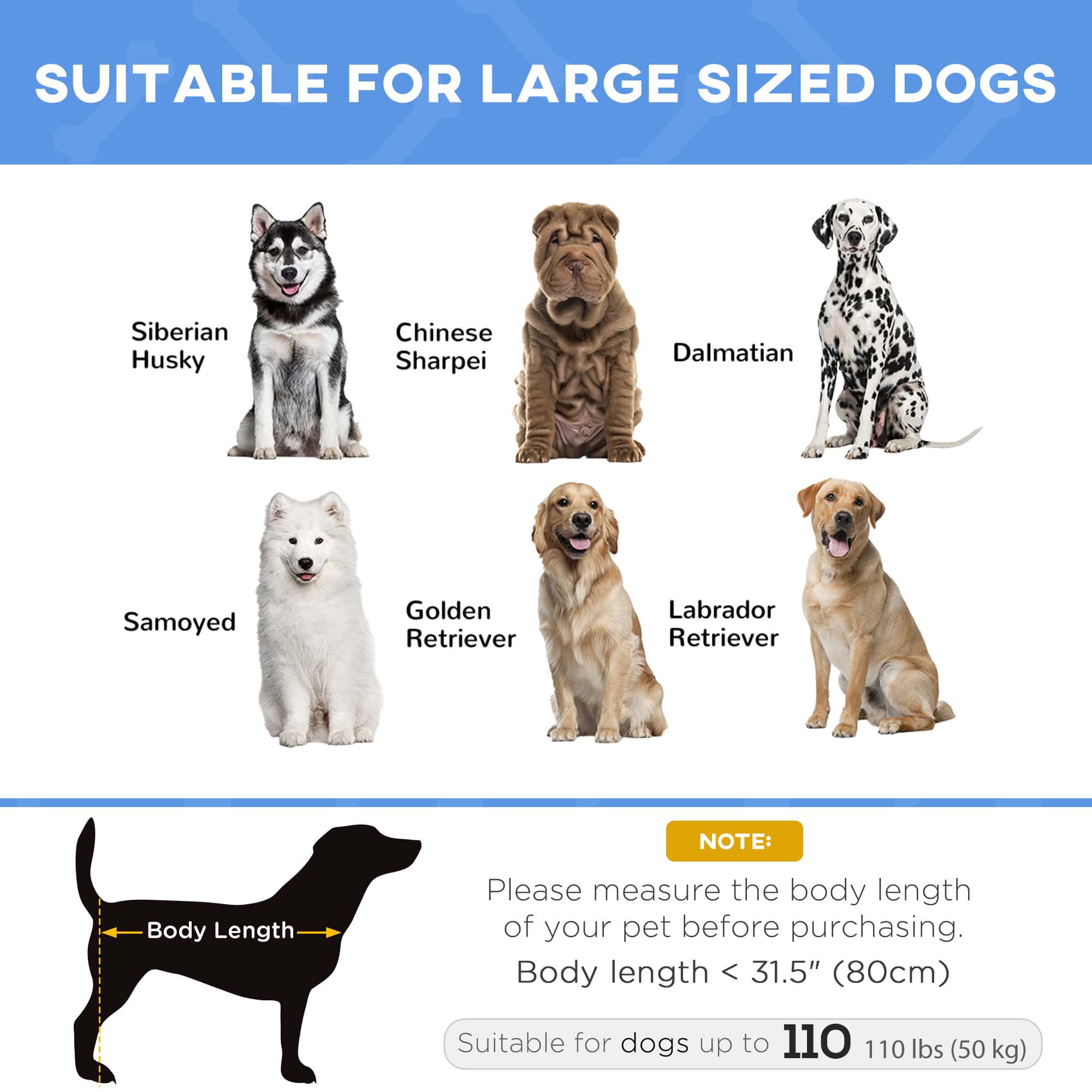 48" X 36" X 9" Elevated Pet Bed with Carrying Bag, Dark Blue - Image 7