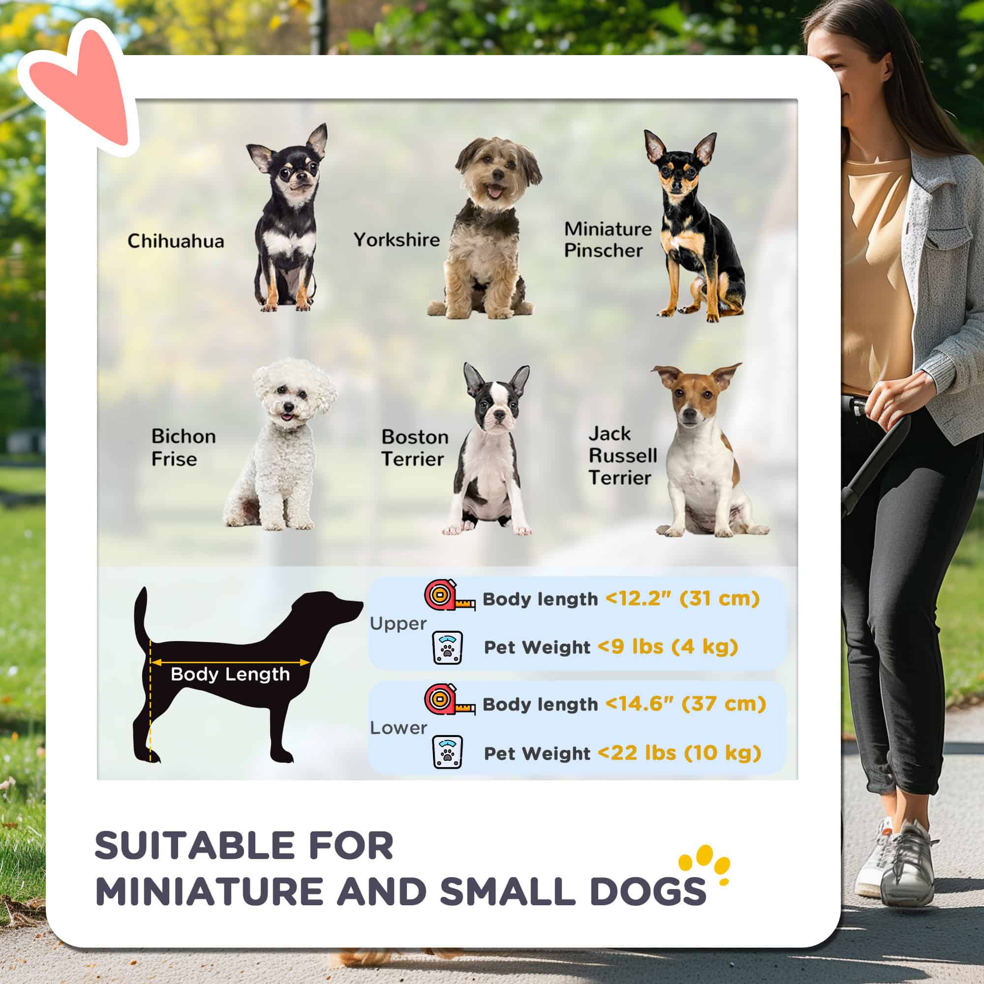 3-in-1 Double Pet Stroller for Small Miniature Dogs Cats with Removable Carrier, Foldable Travel Carrier Bag, Car Seat, Blue