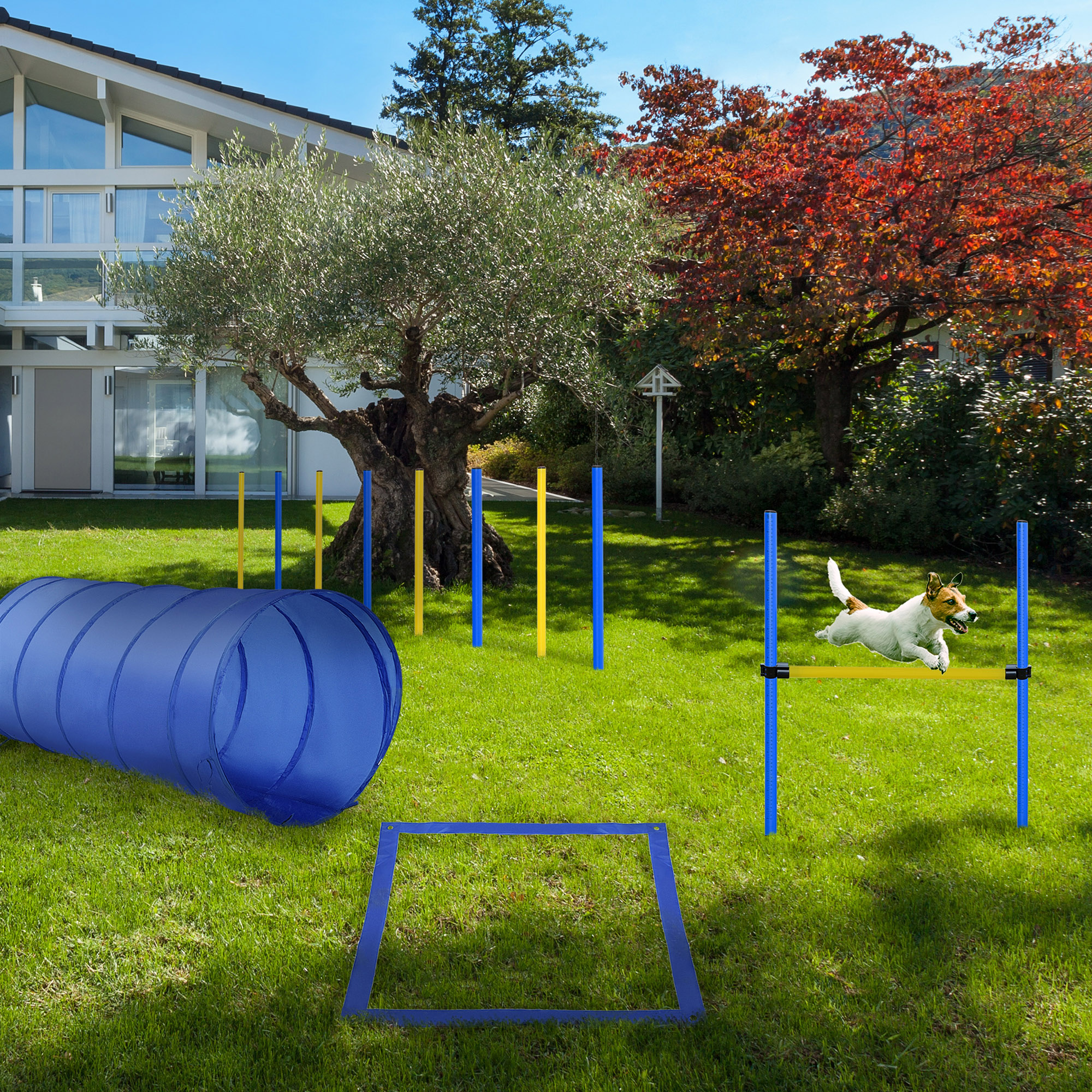 Dog Agility Starter Kit Pet Outdoor Exercise Training Set Tunnel 8 Weave Poles High Jumper