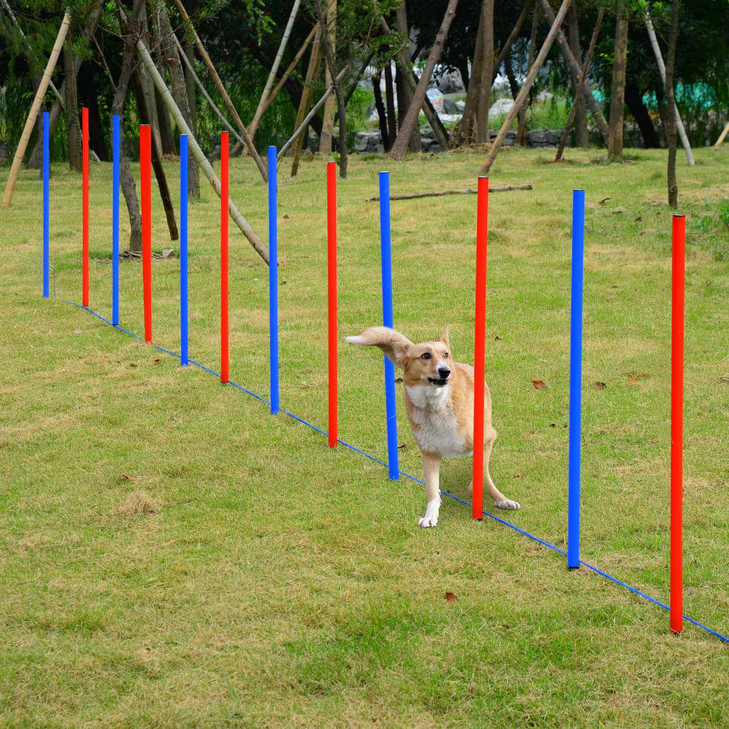 Dog Agility Equipment Set, Portable Dog Agility training equipment for Outdoor Play Run