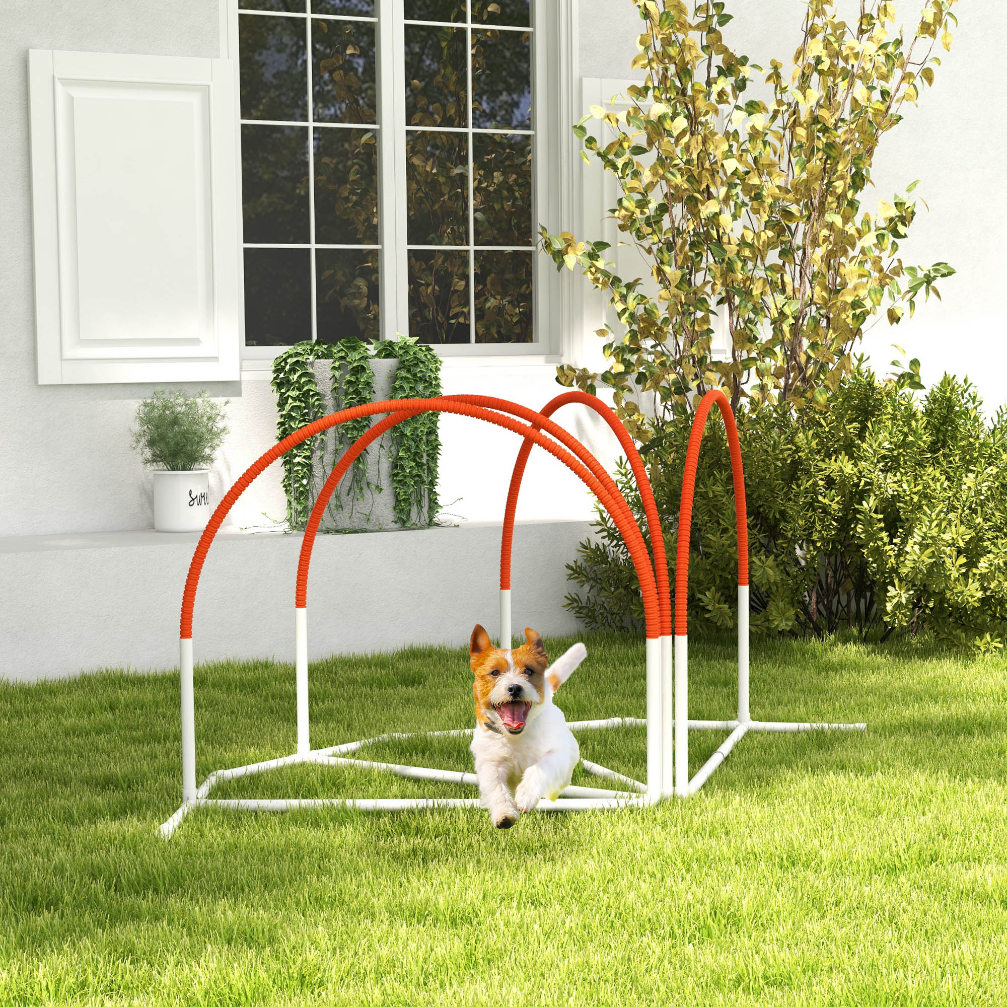 Dog Agility Kit Pet Obstacle Course Training Equipment Outdoor with Weave Poles, Carry Bag, Orange