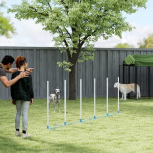 Adjustable Dog Agility Training Obstacle Set with Weaves Poles and Storage Bag for Pet Dogs Outdoor Games Exercise Blue and White