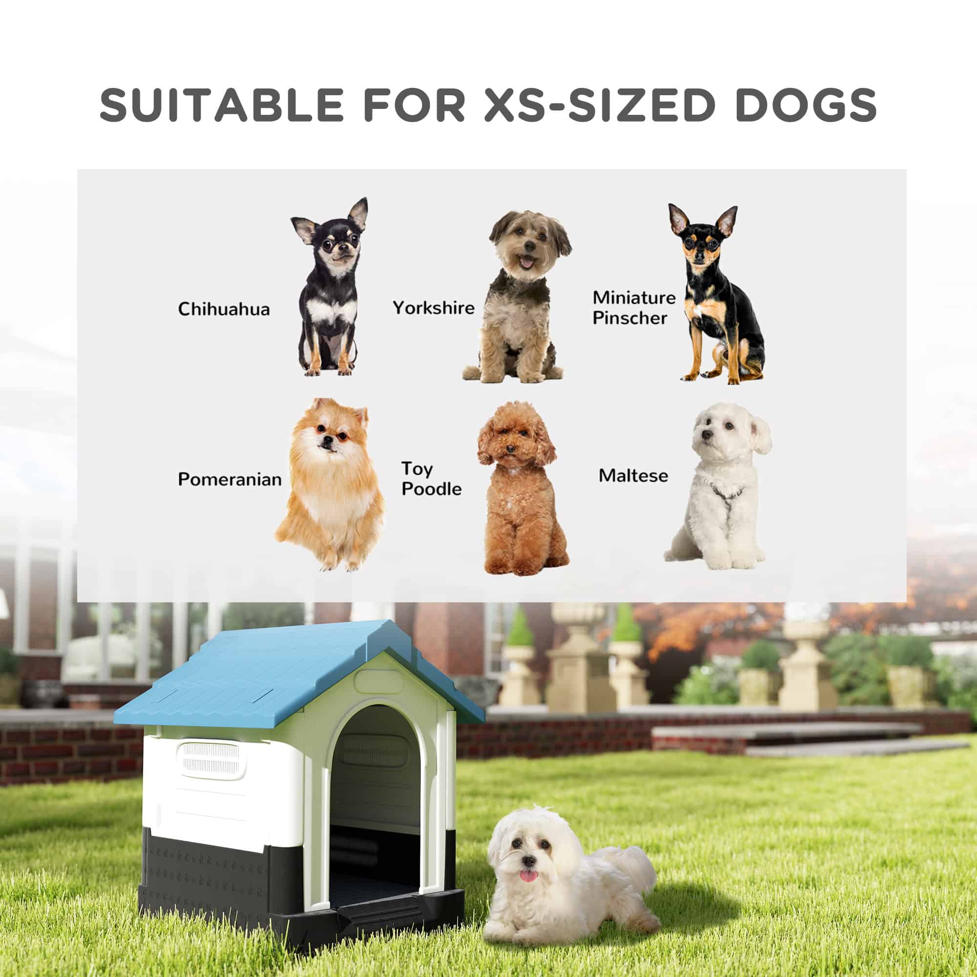 Outside Dog Kennel House with Windows, Base Support, for Garden Patio, Miniature Dogs, 64.5 x 57 x 66cm, Blue