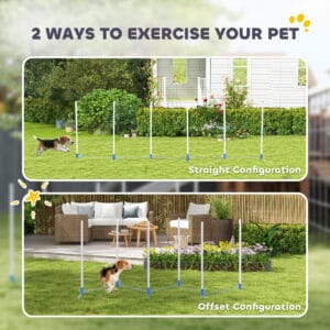Adjustable Dog Agility Training Obstacle Set with Weaves Poles and Storage Bag for Pet Dogs Outdoor Games Exercise Blue and White