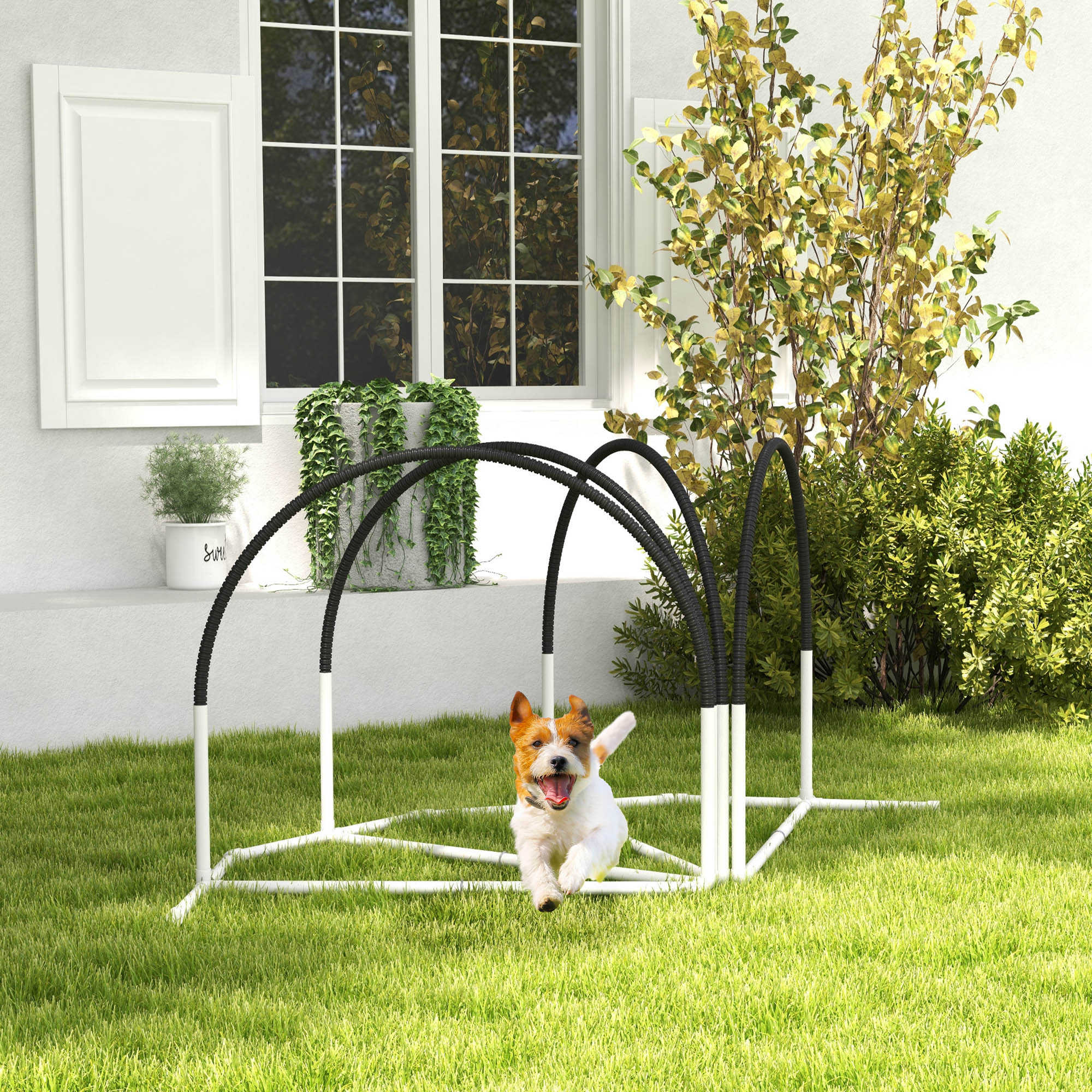 Dog Agility Kit Pet Obstacle Course Training Equipment Outdoor with Weave Poles, Carry Bag, Black
