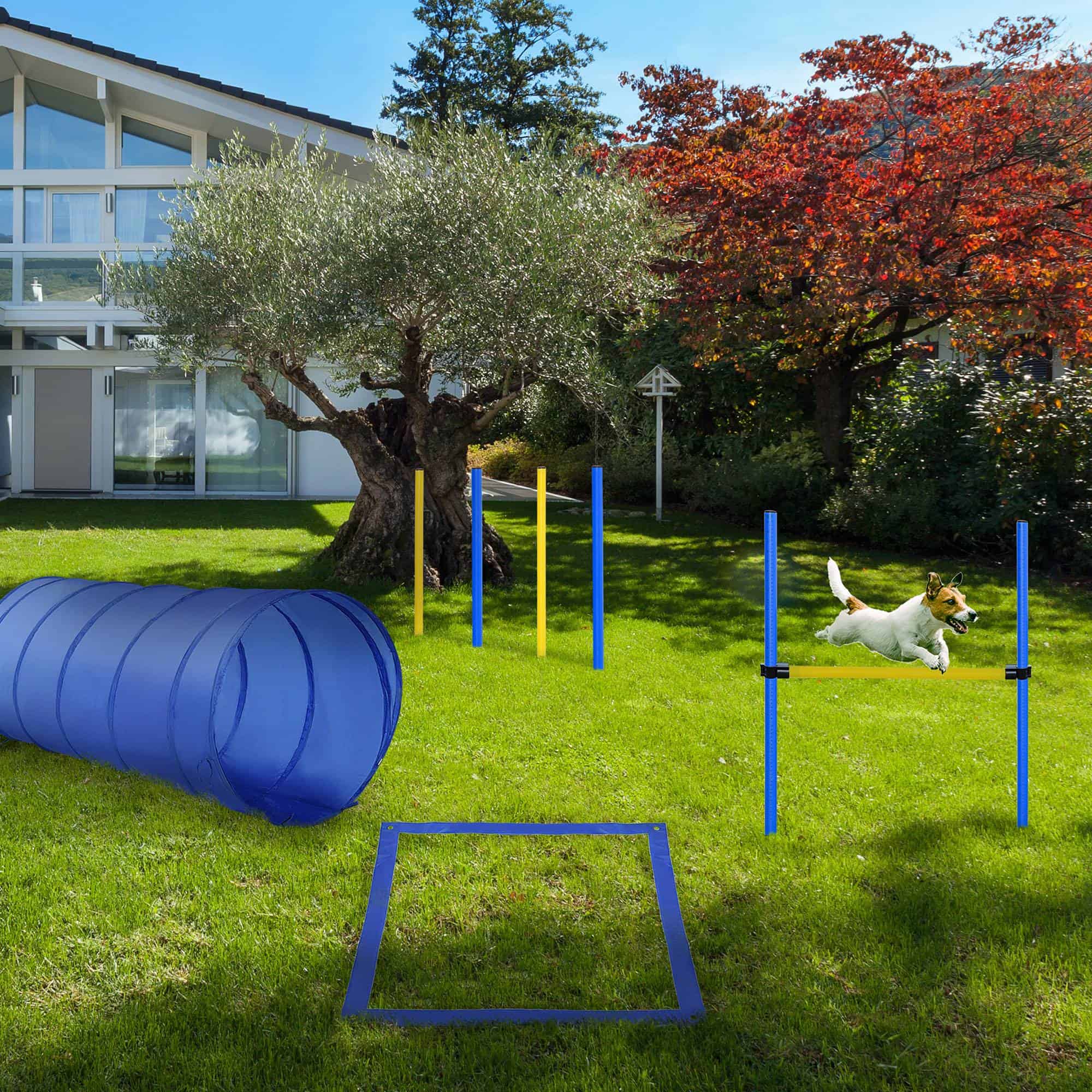 Dog Agility Starter Kit Pet Outdoor Exercise Training Set Tunnel 4 Weave Poles High Jumper