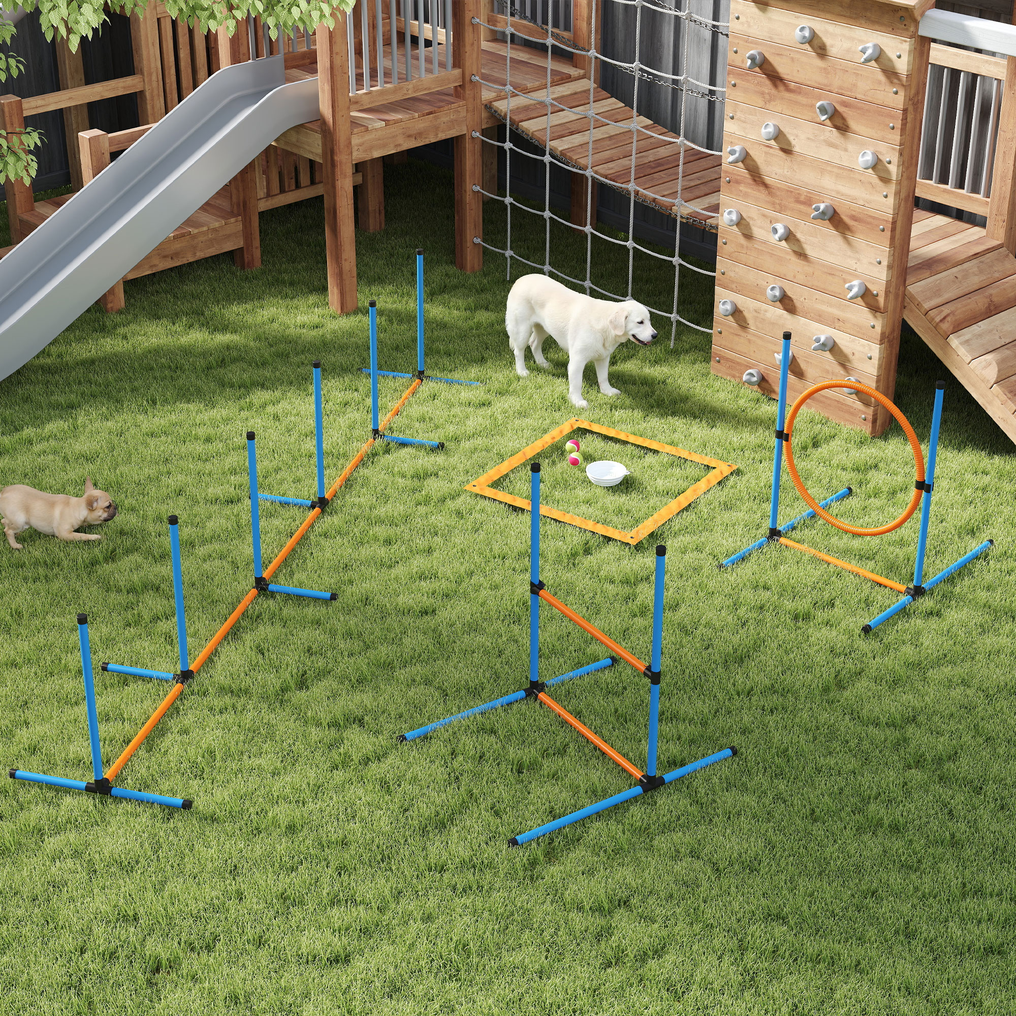 Dog Agility Training Equipment, 5PCS Dog Obstacle Course Starter Kit with Carrying Bag - Image 8