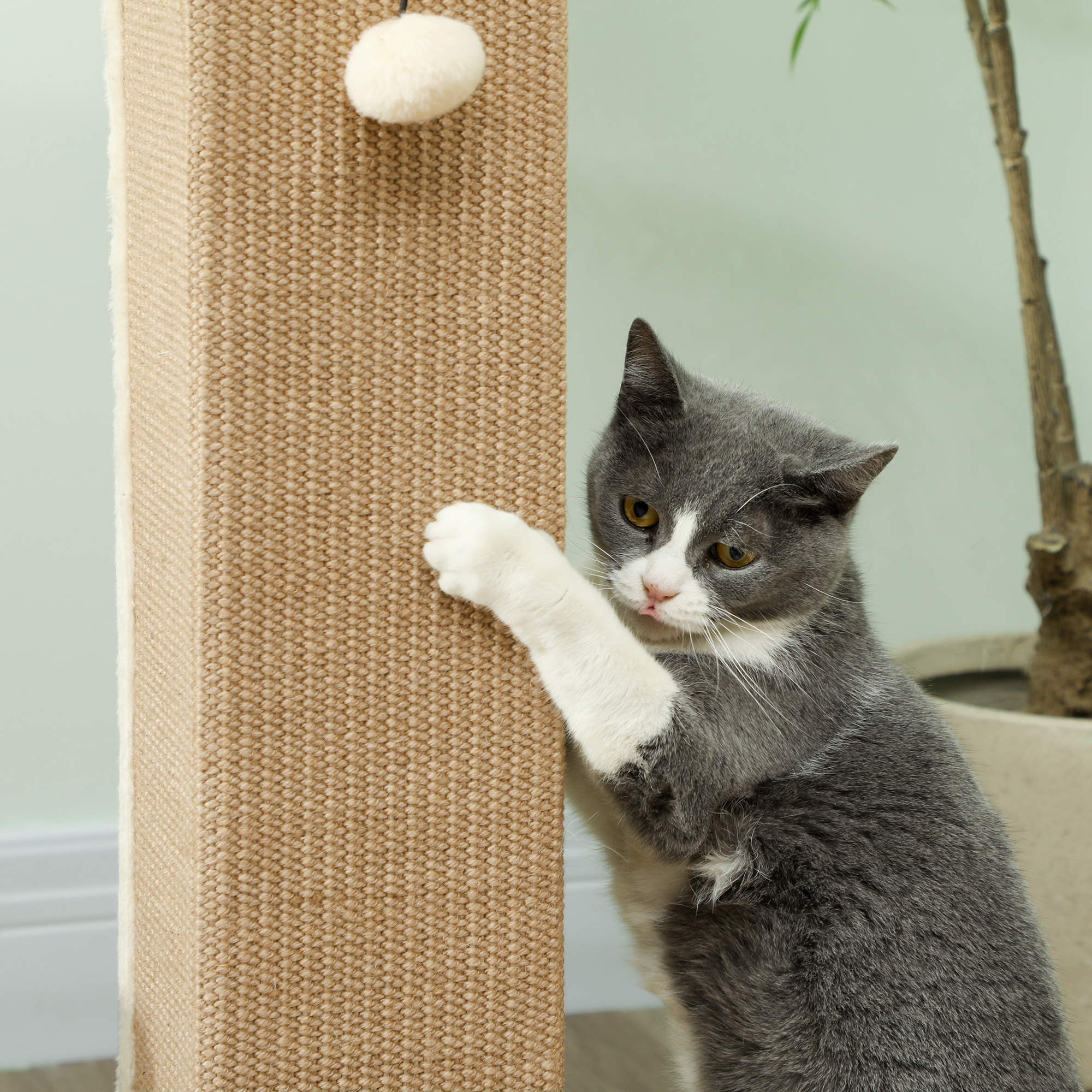 32" Tall Cat Scratching Post for Indoor Cats and Kittens, Sisal Cat Scratcher with Hanging Ball Soft Plush, Beige