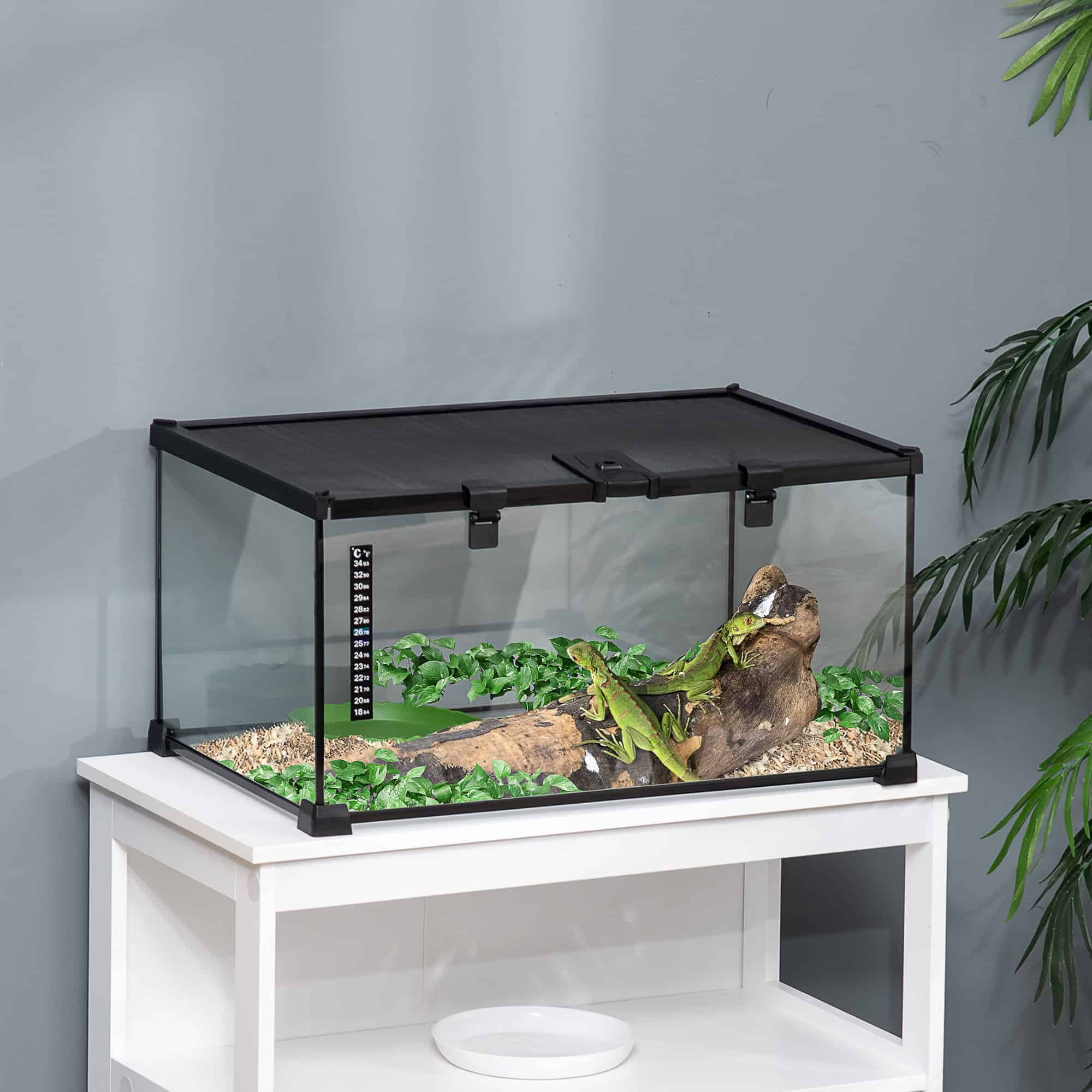 Glass Reptile Terrarium with Thermometer, Water Basin, Full View Visually for Lizards, Horned Frogs, Snakes, Spiders - Image 8