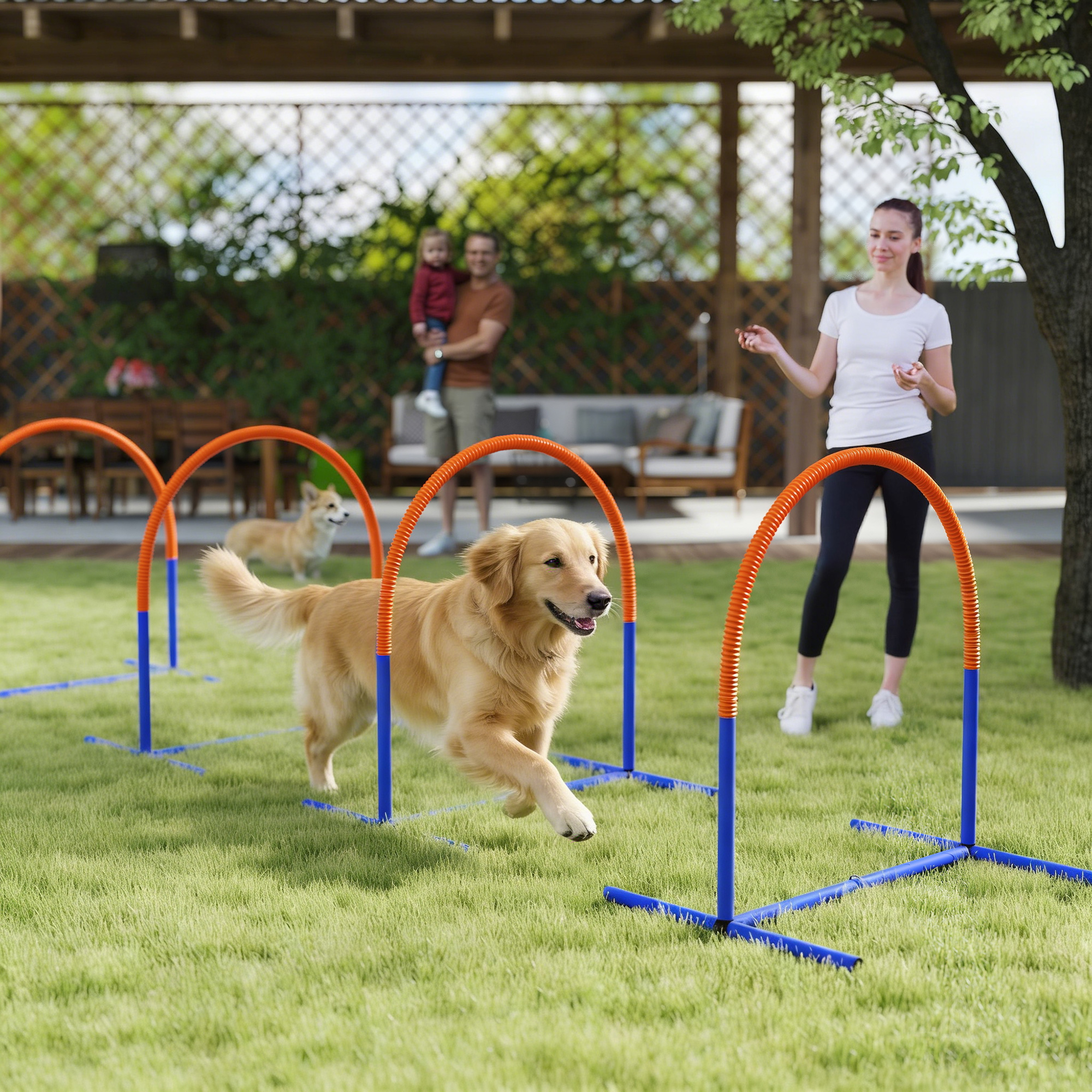 Dog Agility Training Equipment, 4 PCS Obstacle Course with Carrying Bag for Old Dogs, for Backyard, Outdoor, Blue