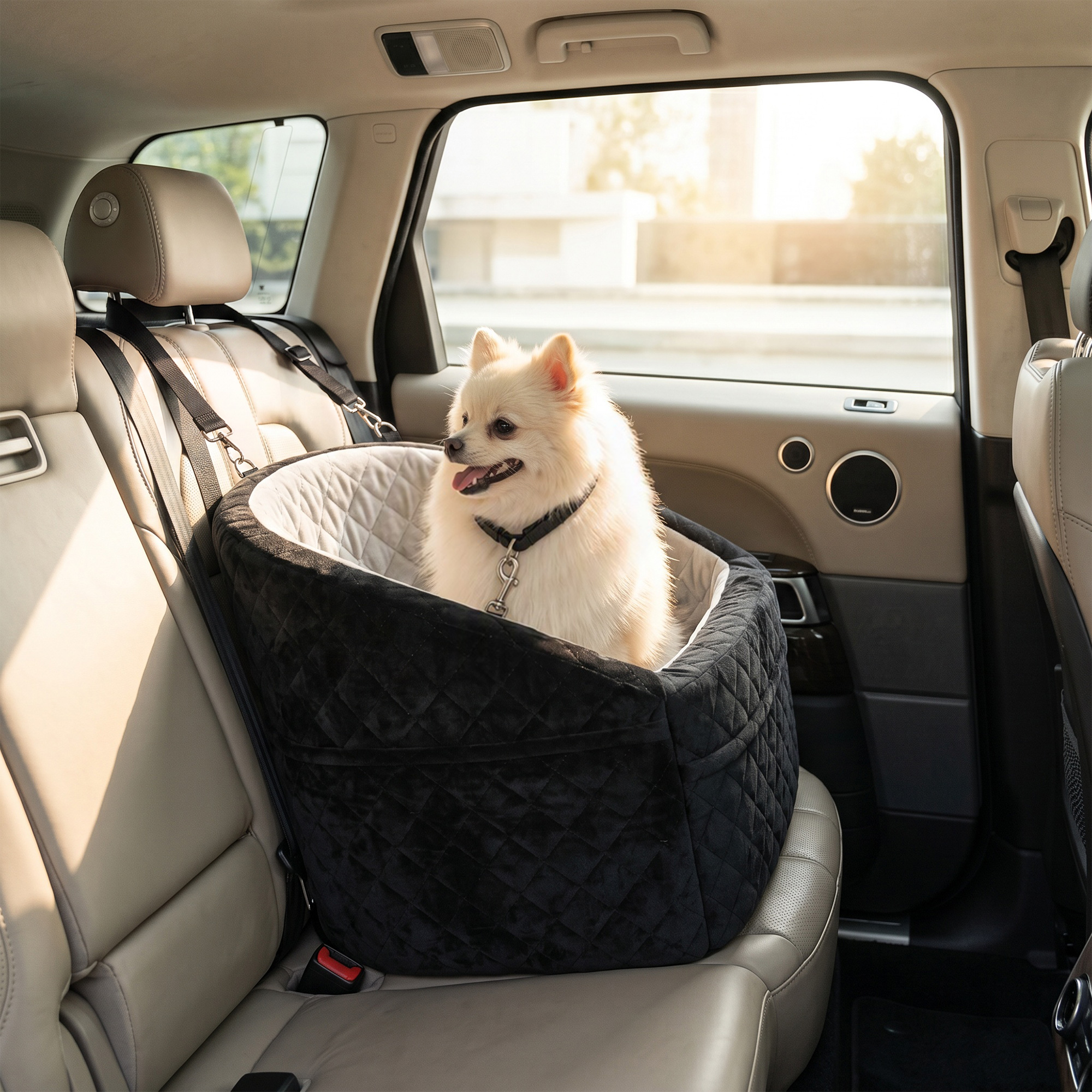 Dog Car Seat, Dog Booster Car Seat Washable with Adjustable Safety Leash, Storage Pockets for Small Under 10kg, Grey