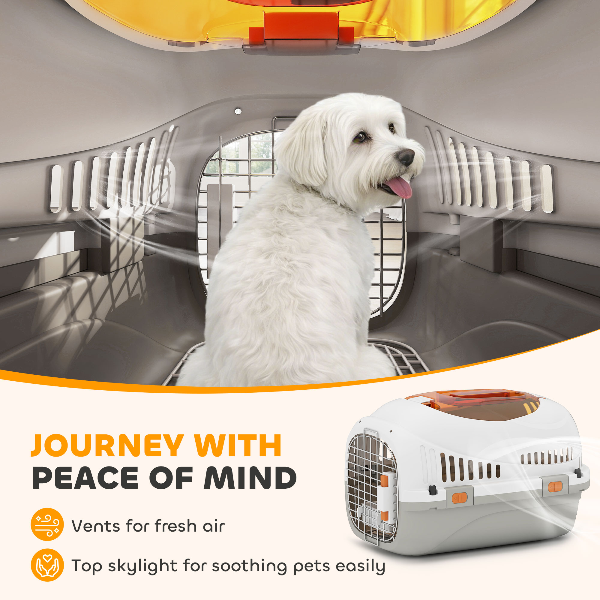 Hard-Sided Travel Pet Carrier, Plastic Dog and Cat Kennel for Small Dogs and Cats, Portable Crate with Steel Wire Door