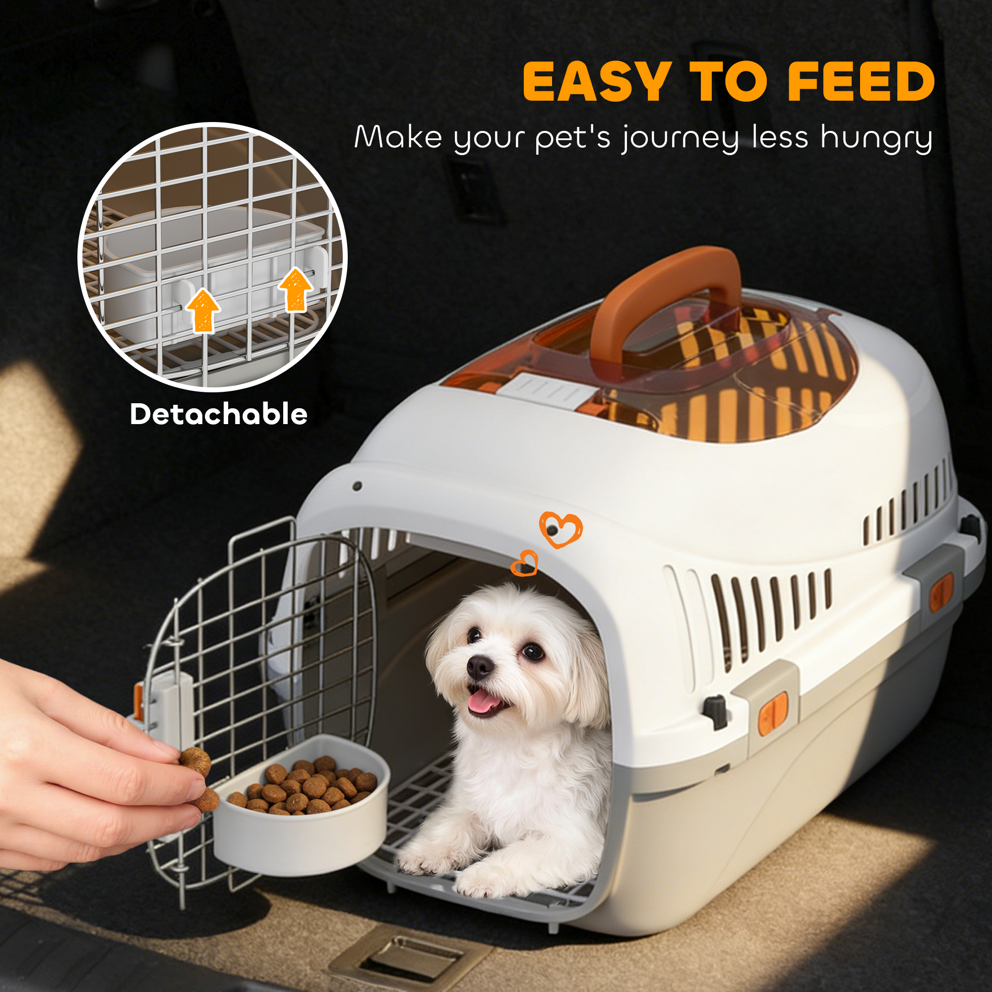 Hard-Sided Travel Pet Carrier, Plastic Dog and Cat Kennel for Small Dogs and Cats, Portable Crate with Steel Wire Door