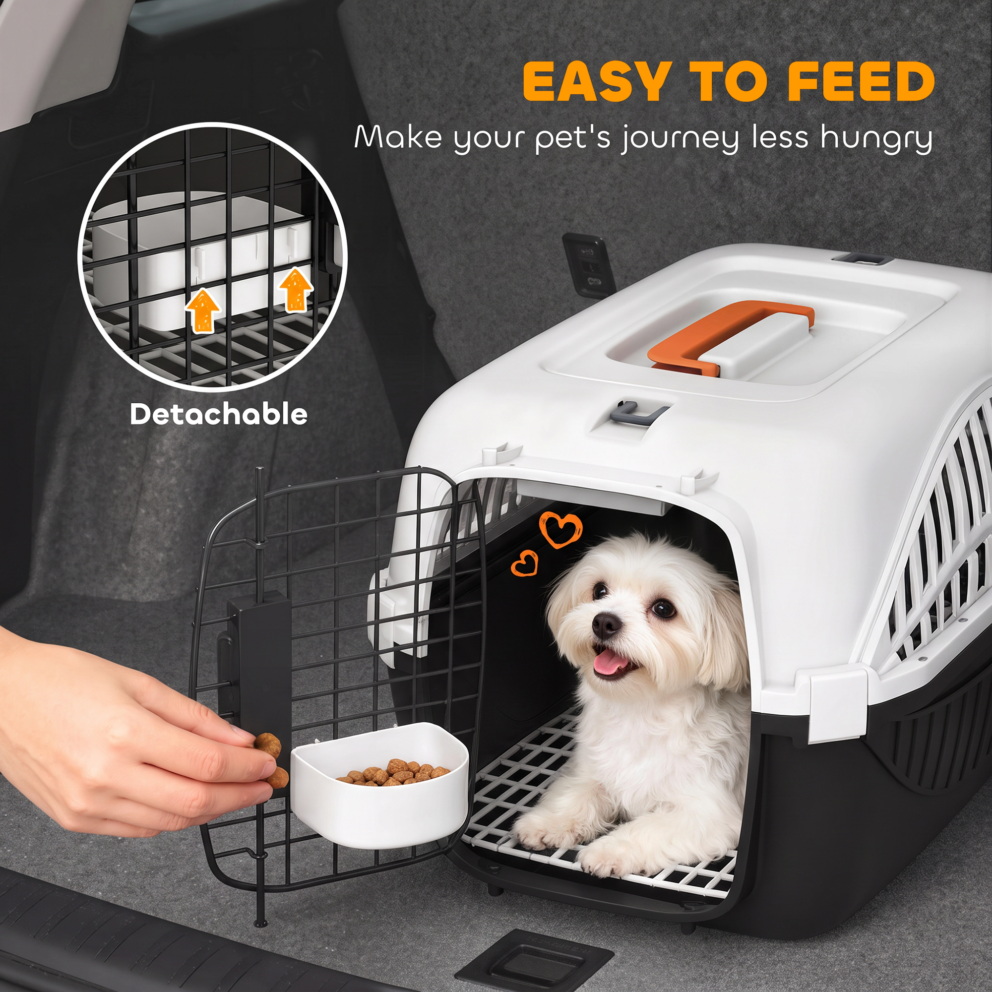 Airline Approved Pet Carrier for Mini Dogs and Cats with Steel Wire Door, Water Bowl, for Car, Airplane, Outdoor, Balck